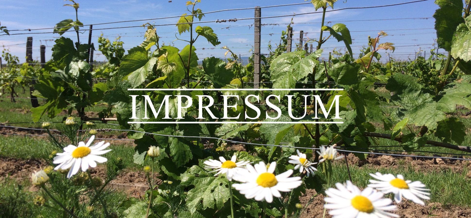 Impressum