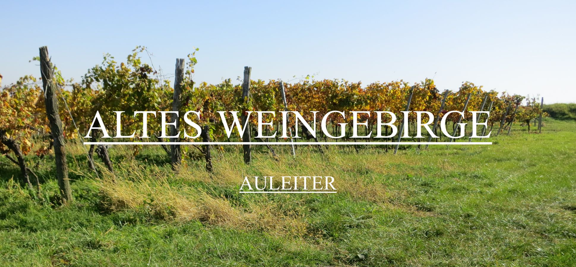 Altes_Weingebirge