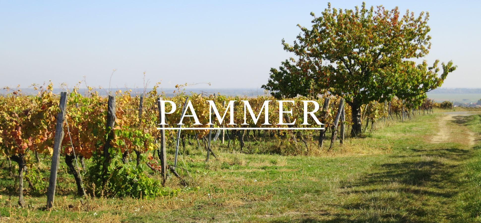 Pammer